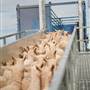 Central West Livestock Exchange