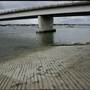 Tom Ugly's Bridge Marina