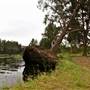 Yarramundi Reserve