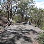 Ted Horwood Reserve