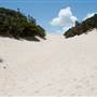 Fingal Spit
