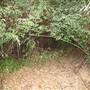 Brownlow Hill - File 2