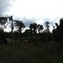 Brownlow Hill - File 2