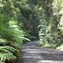 Nightcap National Park