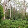 Bradley Reserve