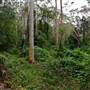 Bradley Reserve