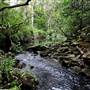 Bradley Reserve