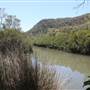 Bushland Creek