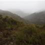 Mt Banks