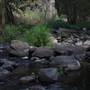 Coxs River - Glenroy Cabins and Camp Ground