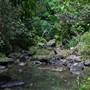 Flatrock Gully