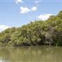 Georges River