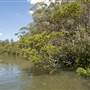 Georges River