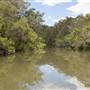 Georges River