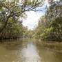 Georges River