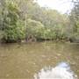 Georges River