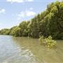 Georges River