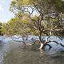 Hacking River