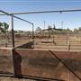 Coonamble