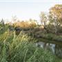 Coonamble