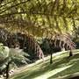 Private Horse Farm - Otford