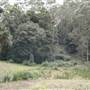 Private Horse Farm - Otford
