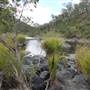 Clarence River Wilderness Lodge