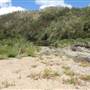 Clarence River Wilderness Lodge