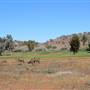 Broken Hill Golf Club