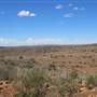 Broken Hill Sculptures Site and Living Desert