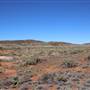 Broken Hill Sculptures Site and Living Desert