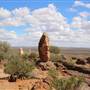 Broken Hill Sculptures Site and Living Desert