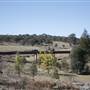 Rylstone