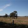 Mudgee