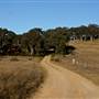 Hopeful Ranch Olive Farm File 1