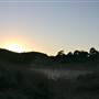 Hopeful Ranch Olive Farm File 1