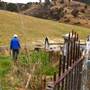 Hopeful Ranch Olive Farm File 4 Cemetery