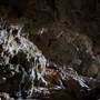Jenolan Caves