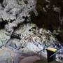 Jenolan Caves