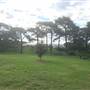 Centennial Park