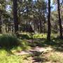 Centennial Park