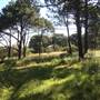 Centennial Park