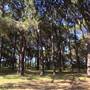Centennial Park
