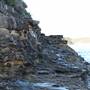 Washaway Beach