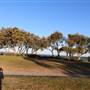 Dunningham Reserve Coogee