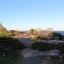 Dunningham Reserve Coogee