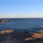 Dunningham Reserve Coogee