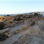 Dunningham Reserve Coogee