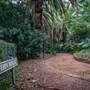 Macarthur Park