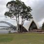 Bennelong Lawn - Royal Botanic Garden Sydney